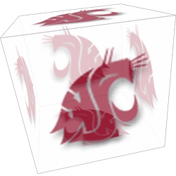 Cougs forever!